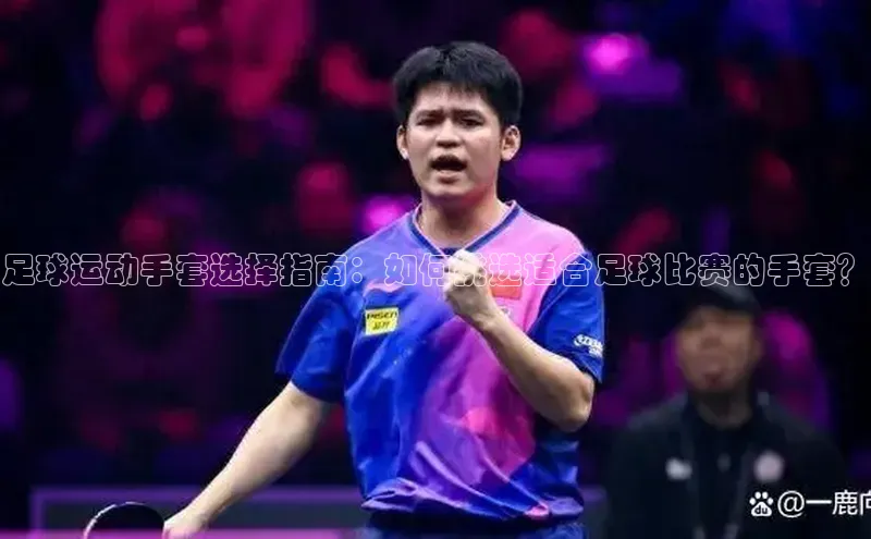 杏宇代理登录中心百度翻译App