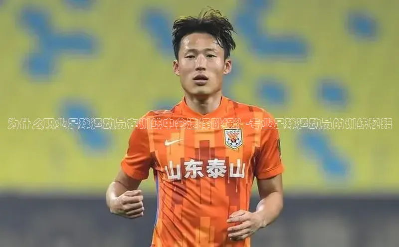 杏宇代理登录中心百度人工翻译