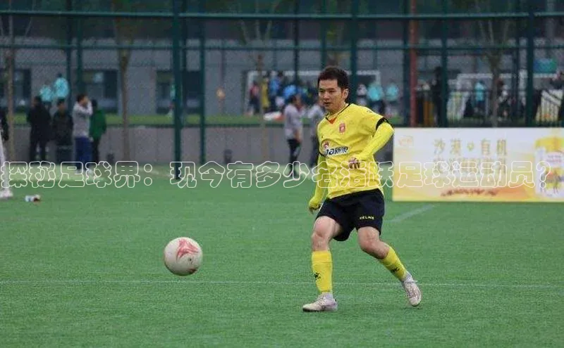 杏宇平台登录官网遥望科技