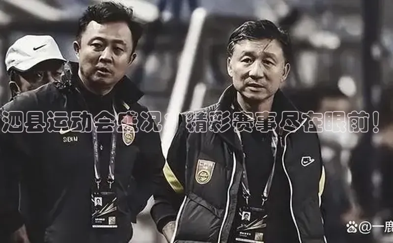 杏宇娱乐