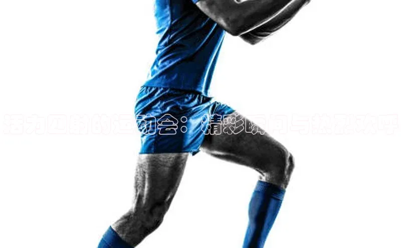 杏宇注册